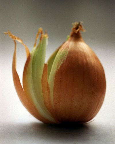 Brown, Ingredient, Onion, Natural foods, Vegetable, Botany, Produce, Still life photography, Vegan nutrition, Whole food, 