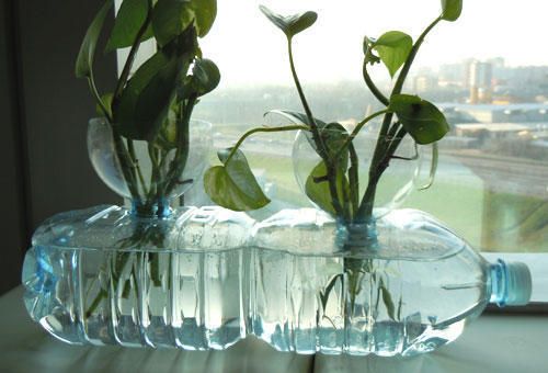 Glass, Transparent material, Botany, Artifact, Vase, Plant stem, Drinkware, Aqua, Serveware, Teal, 