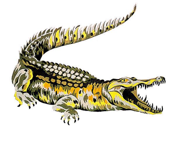 Yellow, Line, Organ, Tail, Scaled reptile, Illustration, Drawing, Painting, Claw, Lizard, 
