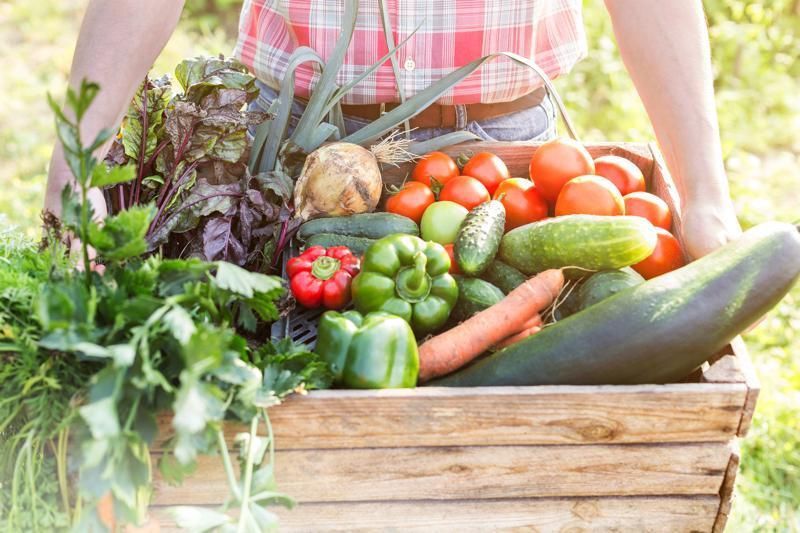 Whole food, Vegan nutrition, Local food, Produce, Food, Natural foods, Vegetable, Ingredient, Food group, Root vegetable, 