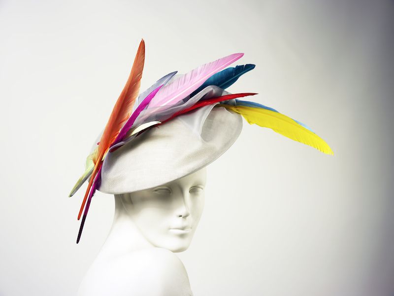 Colorfulness, Feather, Headgear, Costume accessory, Costume hat, Costume, Natural material, Headpiece, Hair accessory, Animal product, 