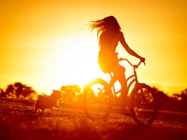 Bicycle tire, Bicycle wheel, Bicycle wheel rim, Bicycle handlebar, Sunset, Bicycle, Bicycle frame, Sunlight, Amber, Bicycle part, 