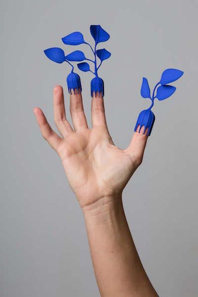 Blue, Finger, Leaf, Petal, Botany, Colorfulness, Electric blue, Azure, Flowering plant, Cobalt blue, 