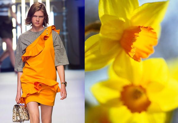 Yellow, Petal, Flower, Bag, Amber, Orange, Flowering plant, Narcissus, Street fashion, Pollen, 