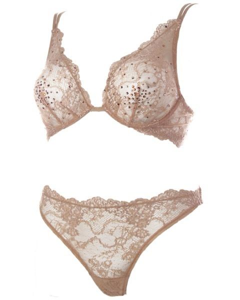 Botany, Undergarment, Brassiere, Lingerie top, Lingerie, 