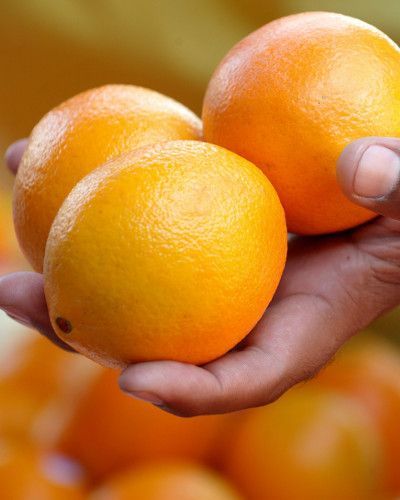 Citrus, Yellow, Orange, Fruit, Food, Produce, Natural foods, Ingredient, Bitter orange, Tangerine, 
