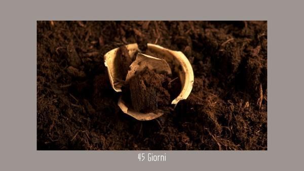 Brown, Soil, Beige, Photography, Still life photography, Macro photography, Natural material, Stock photography, 