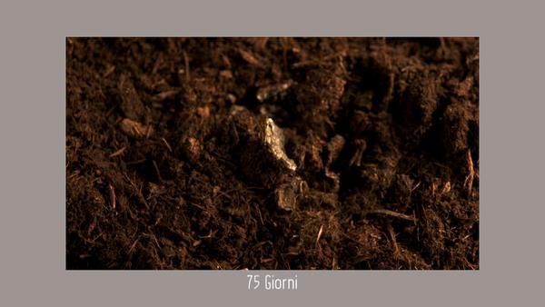 Brown, Photograph, Soil, Colorfulness, Stock photography, 