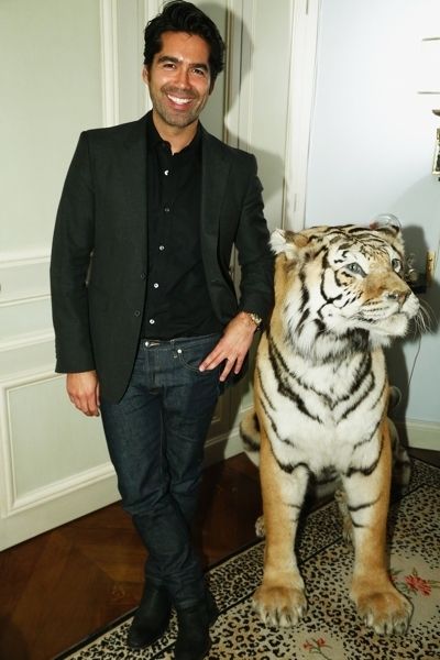 Bengal tiger, Tiger, Trousers, Dress shirt, Shoulder, Shirt, Coat, Textile, Joint, Siberian tiger, 