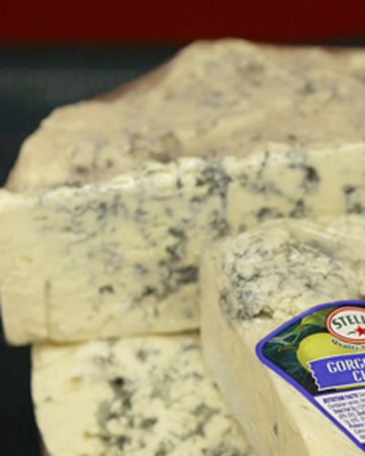 Cuisine, Ingredient, Gorgonzola, Blue cheese, Rock, Logo, Dairy, Cheese, Symbol, Cheesemaking, 