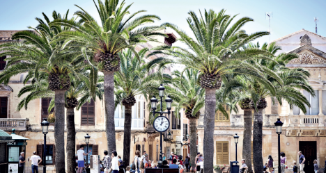 Woody plant, Arecales, Travel, Clock, Palm tree, Tourist attraction, Wall clock, 