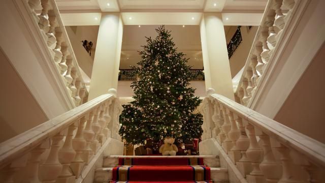 Interior design, Room, Property, Christmas decoration, Christmas tree, Home, Interior design, Christmas ornament, Holiday, Ceiling, 