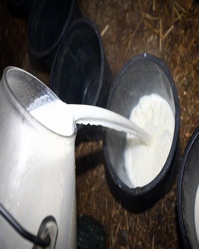 White, Dairy, Circle, Silver, Milk, Buttermilk, Plastic, Plant milk, Chemical compound, Raw milk, 
