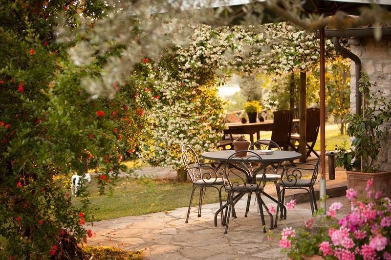 Plant, Petal, Table, Garden, Flower, Outdoor table, Shrub, Outdoor furniture, Flowerpot, Shade, 