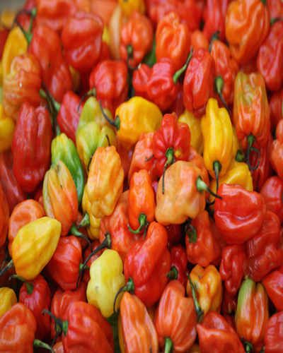Food, Whole food, Natural foods, Local food, Red, Ingredient, Produce, Vegetable, Bell peppers and chili peppers, Spice, 
