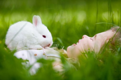Green, Skin, Rabbit, Rabbits and Hares, Domestic rabbit, Adaptation, Terrestrial animal, Spring, Fawn, Meadow, 