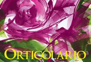 Petal, Purple, Magenta, Violet, Pink, Red, Colorfulness, Botany, Flowering plant, Lavender, 