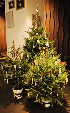 Interior design, Christmas decoration, Room, Christmas tree, Interior design, Holiday, Christmas ornament, Christmas, Christmas eve, Home, 