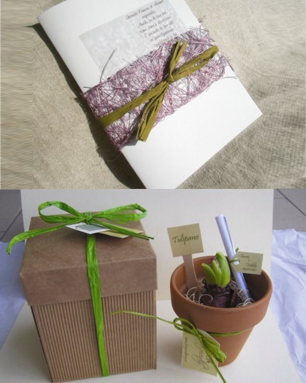 Flowerpot, Purple, Paper product, Lavender, Houseplant, Paper, Wedding favors, Gift wrapping, Party favor, Herb, 