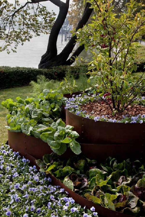 Plant, Flowerpot, Garden, Shrub, Groundcover, Trunk, Annual plant, Subshrub, Houseplant, Botanical garden, 