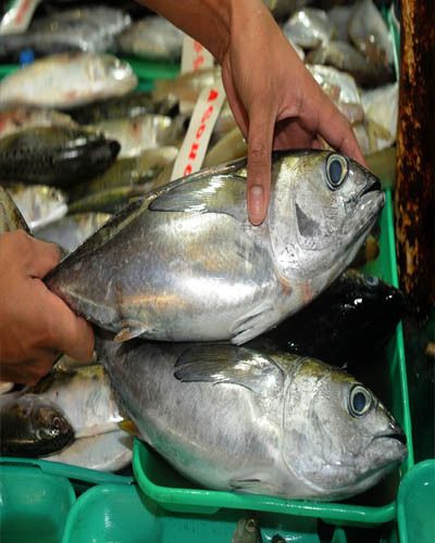 Vertebrate, Fish, Fish, Grey, Seafood, Marine biology, Fish products, Ray-finned fish, Oily fish, Fin, 
