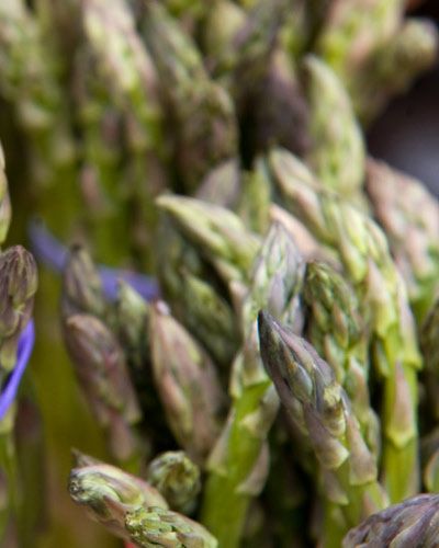 Green, Botany, Close-up, Whole food, Bud, Macro photography, Natural material, Herbaceous plant, Staple food, Asparagus, 