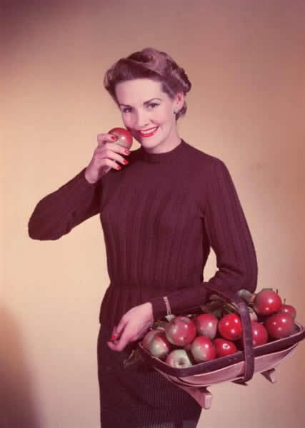 Sleeve, Dress, Fruit, Produce, Natural foods, Ingredient, Cherry, Vintage clothing, One-piece garment, Tooth, 