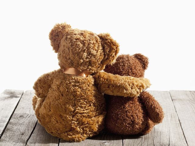Stuffed toy, Toy, Brown, Teddy bear, Plush, Beige, Baby toys, Bear, Wood flooring, 