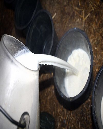 Milk, Dairy, Chemical compound, Plant milk, Raw milk, Silver, Buttermilk, Cup, Plastic, Kitchen utensil, 