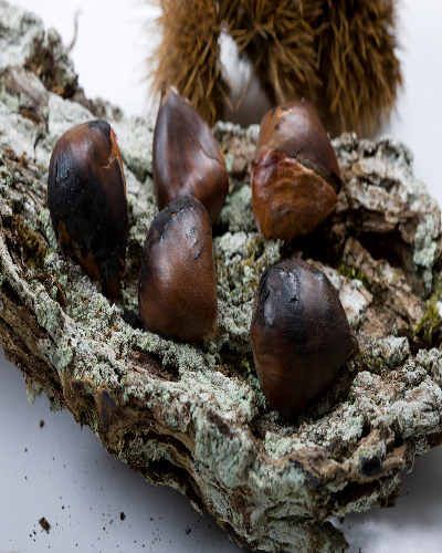 Chestnut, Ingredient, Nut, Natural material, Hazelnut, Produce, Still life photography, Nuts & seeds, 