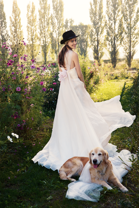 Dog breed, Dog, Carnivore, Dress, Hat, Sporting Group, People in nature, Liver, Companion dog, Sun hat, 