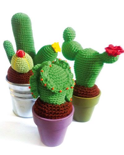 Green, Cactus, Lid, Coquelicot, Toy, 