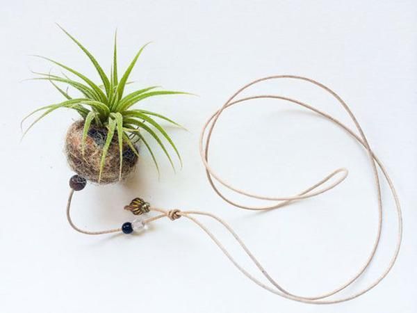 Flowerpot, Botany, Terrestrial plant, Houseplant, Plant stem, Circle, Natural material, Wire, Root, Silver, 