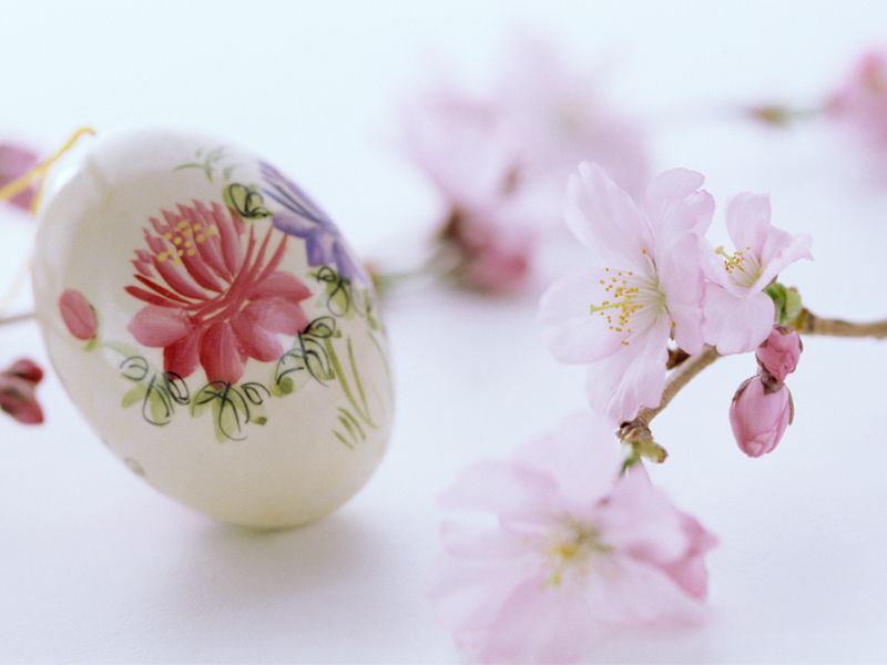 Petal, Flower, Pink, Easter egg, Easter, Egg, Serveware, Egg, Blossom, Still life photography, 