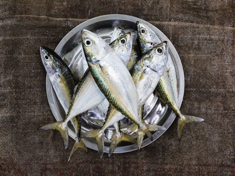 Fish, Grey, Fish, Seafood, Marine biology, Oily fish, Silver, Ray-finned fish, Forage fish, Anchovy (food), 