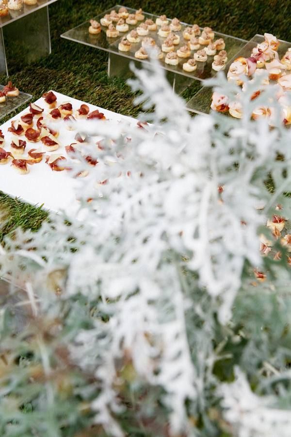 Frost, Freezing, Buffet, Subshrub, Conifer, Annual plant, Recipe, 