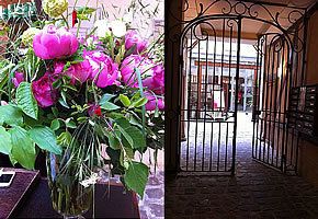 Petal, Flower, Purple, Magenta, Violet, Flowering plant, Iron, Bouquet, Gate, Floristry, 