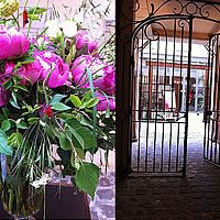 Petal, Flower, Purple, Magenta, Violet, Flowering plant, Iron, Bouquet, Gate, Floristry, 