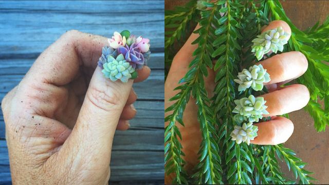 Finger, Flower, Nail, Flowering plant, Peach, Thumb, Creative arts, Hydrangea, california lilac, 