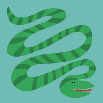Serpente - Oroscopo cinese