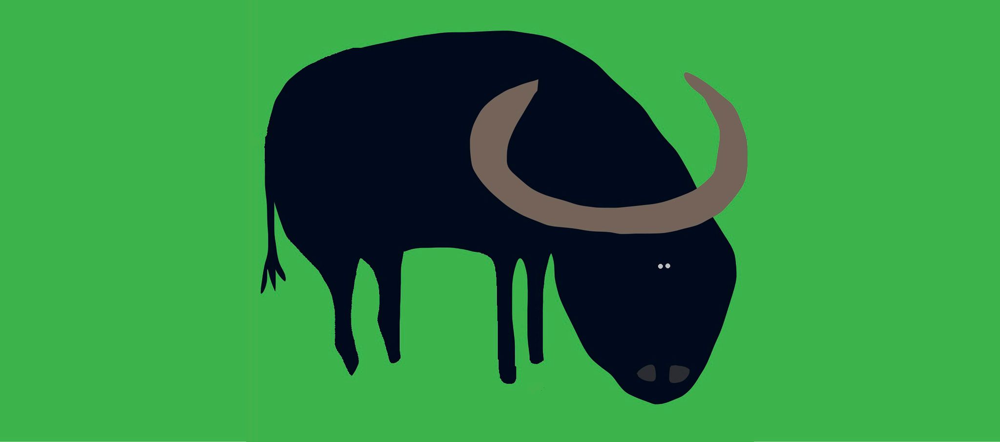 Bufalo - oroscopo cinese