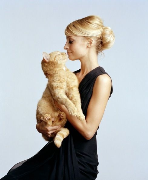 Shoulder, Vertebrate, Joint, Carnivore, Mammal, Elbow, Small to medium-sized cats, Felidae, Cat, Blond, 