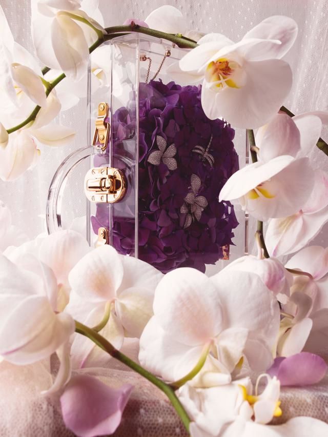 Petal, Flower, White, Purple, Lavender, Flowering plant, Cut flowers, Violet, Botany, Floristry, 