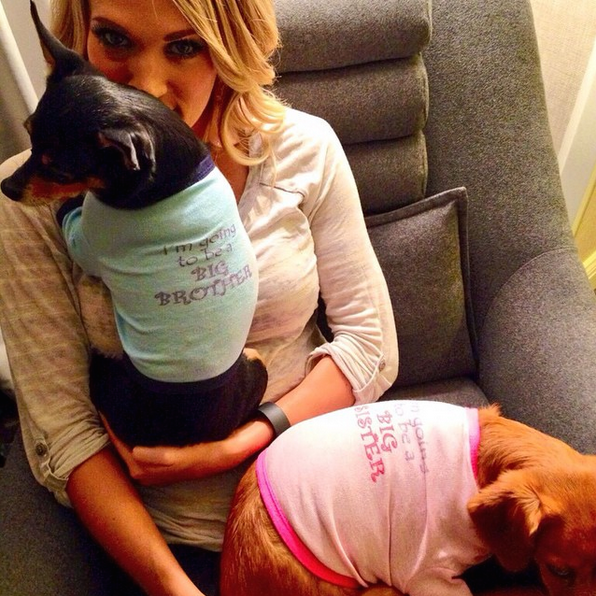 <p>Carrie let her dogs do the talking with their "I'm going to be a big brother/sister" onesies, then captioned her Instagram, "In honor of 'Labor' Day, Ace & Penny would like to make an announcement. Their parents couldn't be happier..."</p>