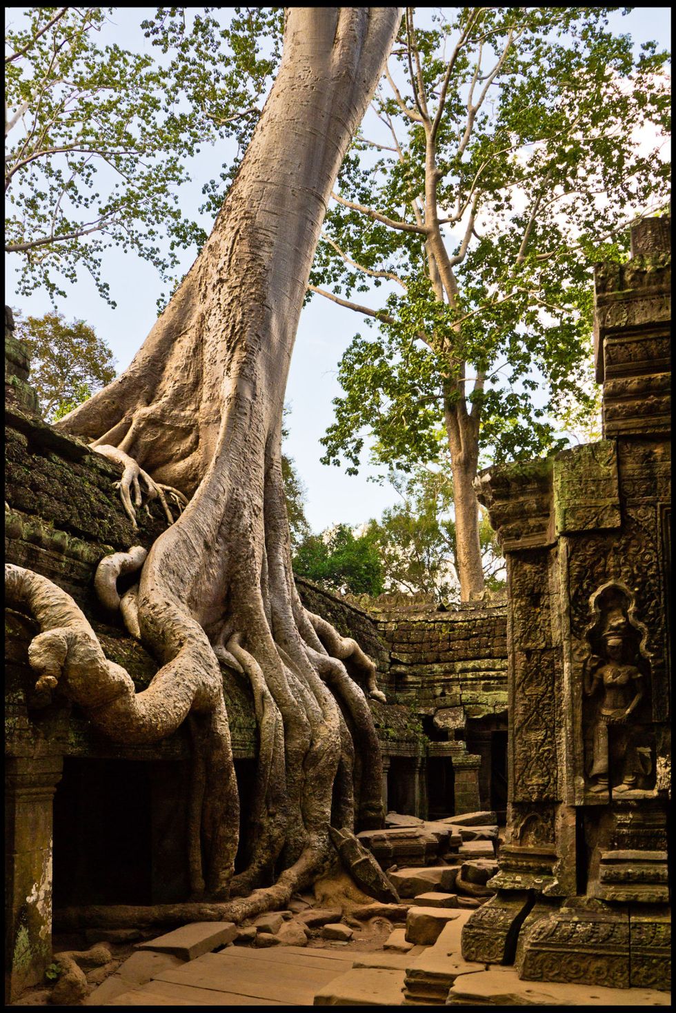 <p>Il Sagittario è il viaggiatore dello zodiaco: un viaggiatore irrequieto. Le escursioni in campagna in roulotte o in sella a una bicicletta sono una scelta ottimale, ma non meno avvincente potrebbe essere un viaggio in luoghi ricchi di spiritualità come, per esempio, Angkor Wat in Cambogia o i templi di Bagan in Myanmar.</p>