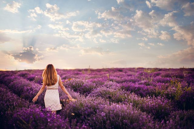 Purple, Lavender, Agriculture, Violet, Flower, Field, People in nature, Lavender, Sunlight, Wildflower, 