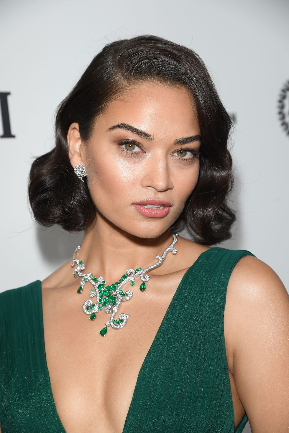 LOS ANGELES, CA - FEBRUARY 26:  Model Shanina Shaik attends Bulgari at the 25th Annual Elton John AIDS Foundation's Academy Awards Viewing Party at  on February 26, 2017 in Los Angeles, California.  (Photo by Venturelli/Getty Images for BVLGARI)