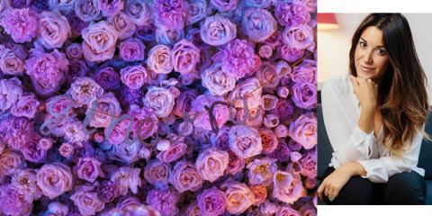 Petal, Purple, Flower, Violet, Bouquet, Pink, Lavender, Flowering plant, Floristry, Rose family, 