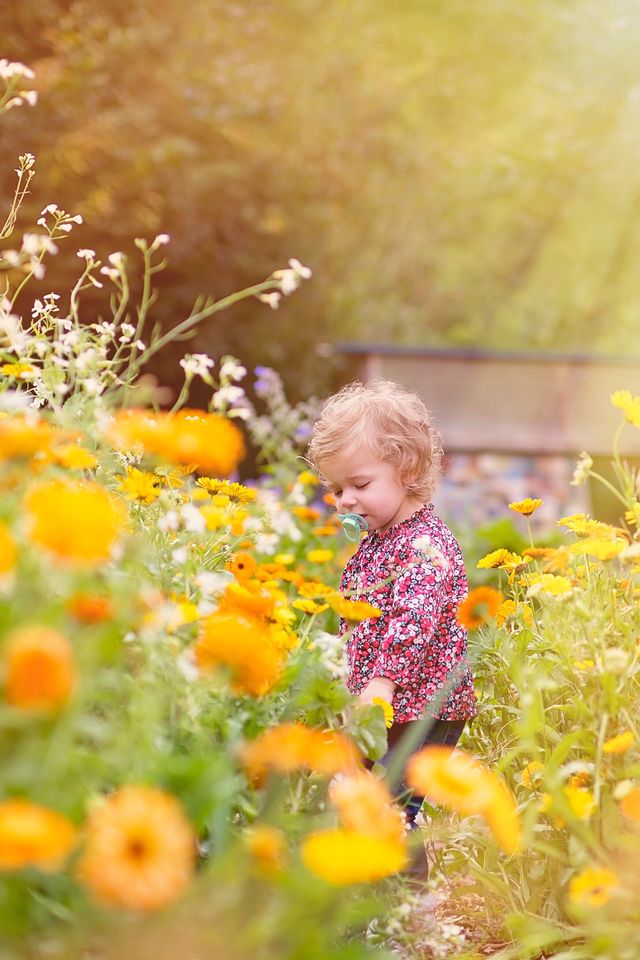 Human, Yellow, Plant, Flower, Happy, People in nature, Petal, Child, Wildflower, Spring, 