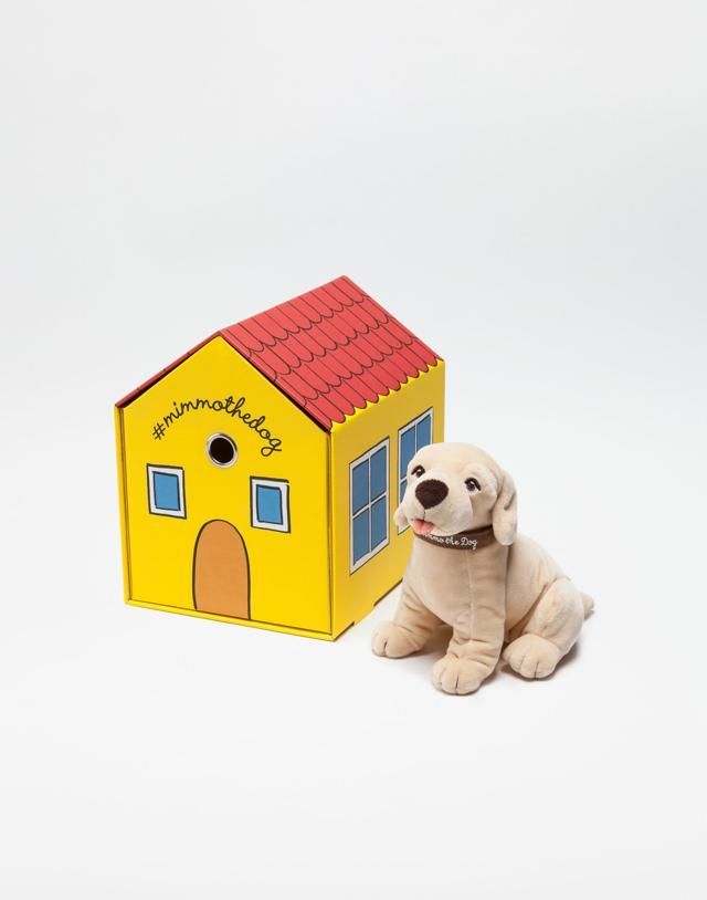 Toy, Carnivore, Dog, House, Dog supply, Stuffed toy, Roof, Pet supply, Companion dog, Rectangle, 